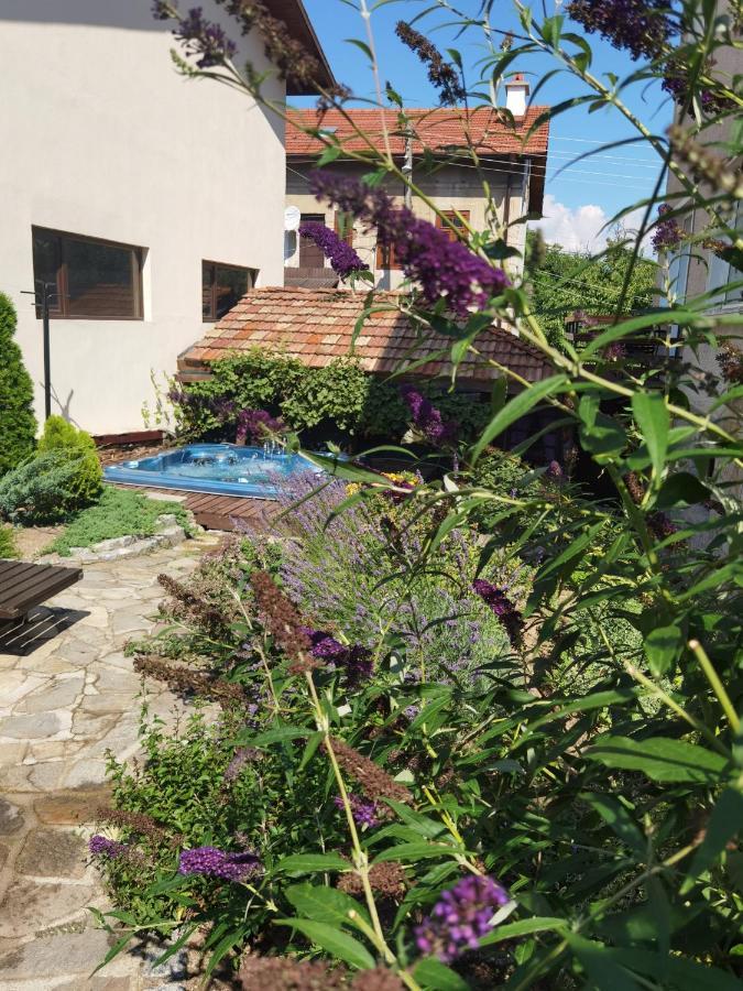 Mira Guest House دوبرينيشت المظهر الخارجي الصورة
